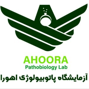 logo/ahoora-300x300.jpeg